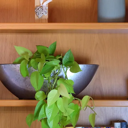 Apartamento Der Gerber Hilden
