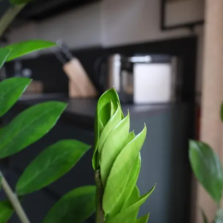 Apartment Der Gerber Hilden