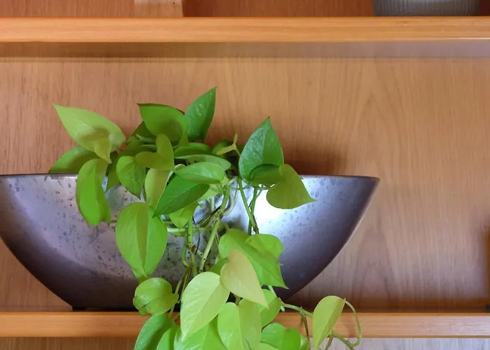 Appartement Der Gerber Hilden