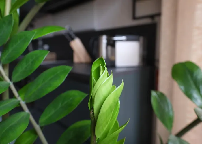 Lägenhet Der Gerber Hilden